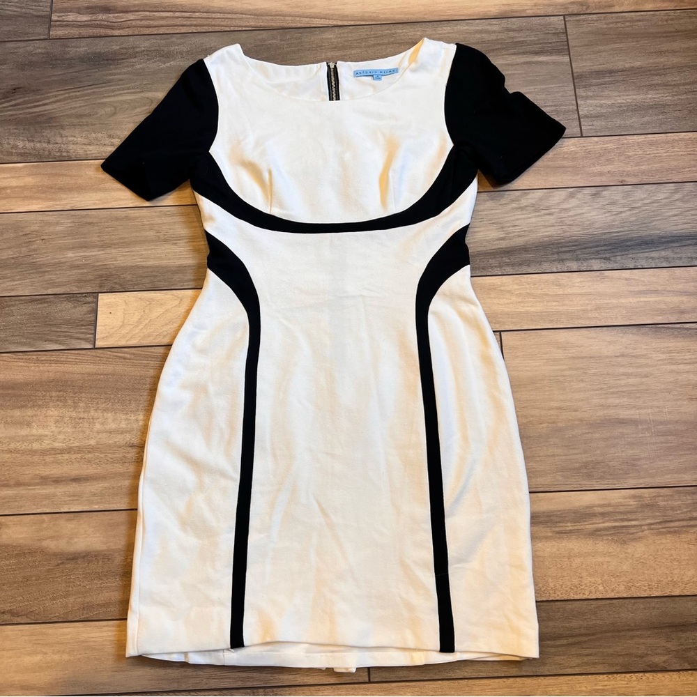 Illusion Dress black and white